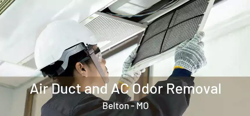  Air Duct and AC Odor Removal Belton - MO