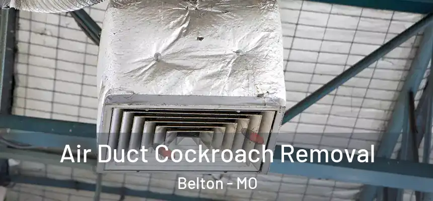 Air Duct Cockroach Removal Belton - MO