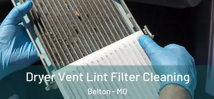 Dryer Vent Lint Filter Cleaning Belton - MO