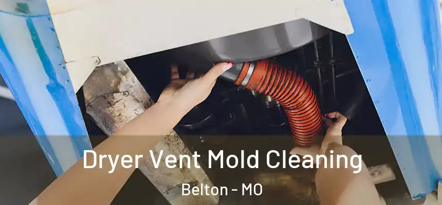 Dryer Vent Mold Cleaning Belton - MO