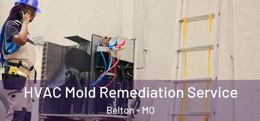 HVAC Mold Remediation Service Belton - MO