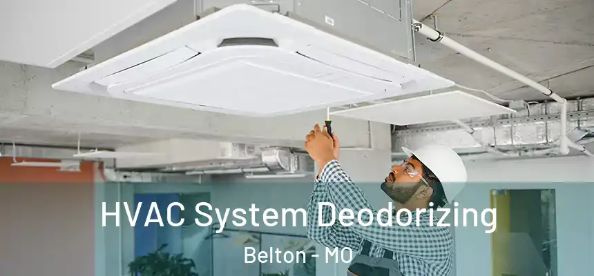 HVAC System Deodorizing Belton - MO