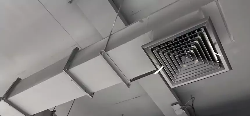 Our Rodent Droppings In Vents Services in Belton, MO