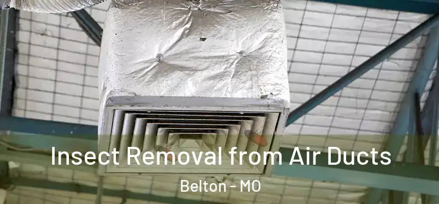  Insect Removal from Air Ducts Belton - MO