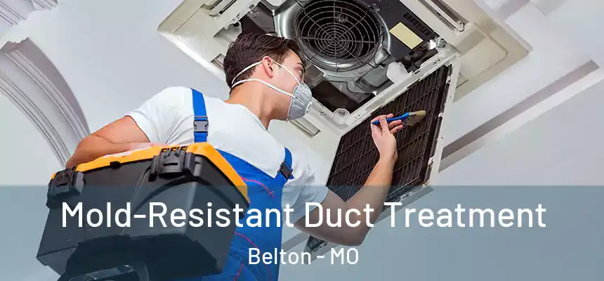 Mold-Resistant Duct Treatment Belton - MO