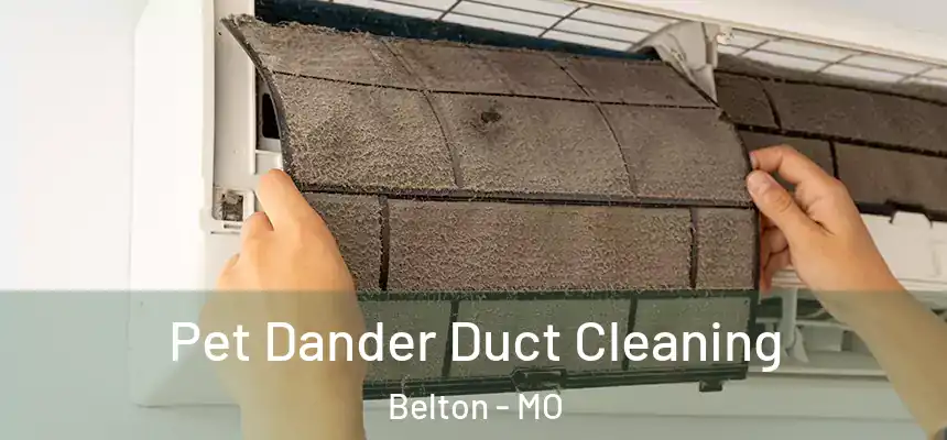 Pet Dander Duct Cleaning Belton - MO