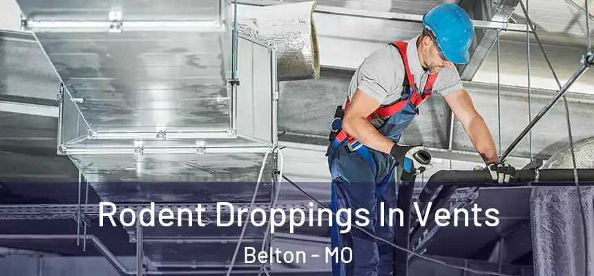 Rodent Droppings In Vents Belton - MO