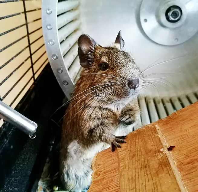 Why Homeowners & Businesses Trust Us Belton, MO?